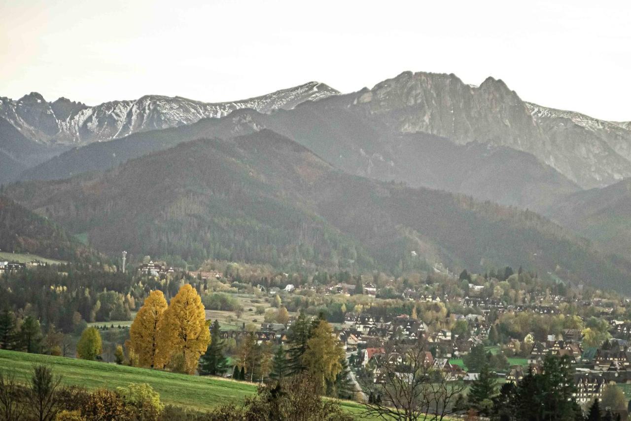 Willa Grg Zakopane Ngoại thất bức ảnh