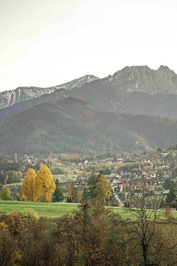 Willa Grg Zakopane Ngoại thất bức ảnh